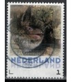 3013 Zoogdieren Watervleermuis (o)