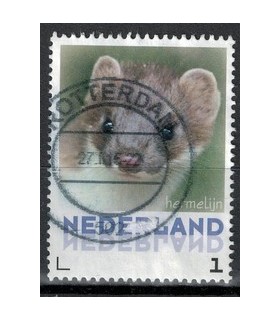 3013 Zoogdieren Egel (o)