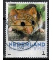 3013 Zoogdieren Hazelmuis (o)