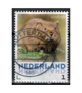 3013 Zoogdieren Bever (o)