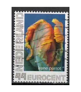 Irene Parrot (o)