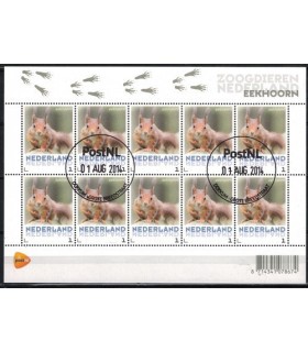 3013 Zoogdieren Eekhoorn (o)