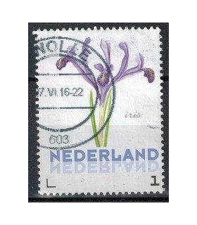 3012 Ac-01 Bloemen voorjaar iris (o)