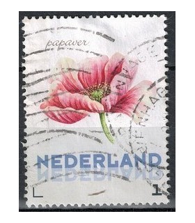 3012 Ac-03 Bloemen zomer Papaver (o)