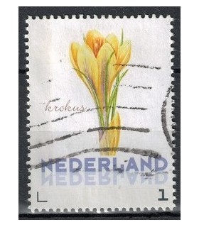 3012 Ac-01 Bloemen voorjaar krokus (o)