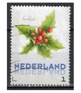 3012 Ac-07 Bloemen winter hulst (o)