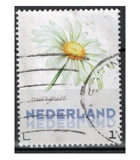 3012 Ac-03 Bloemen zomer margriet (o)