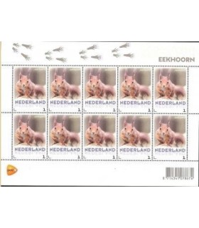 3013 Zoogdieren Eekhoorn (xx)