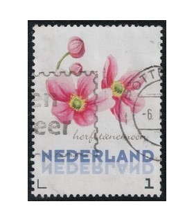 3012 Ac-05 Bloemen najaar herfstanemoon (o)