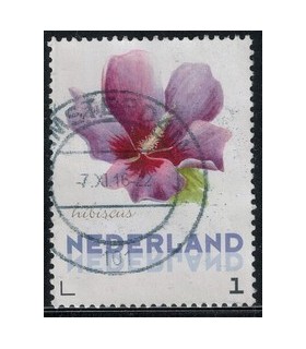 3012 Ac-05 Bloemen najaar hibiscus (o)