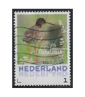 2017 Lentevogels Tureluur (o)