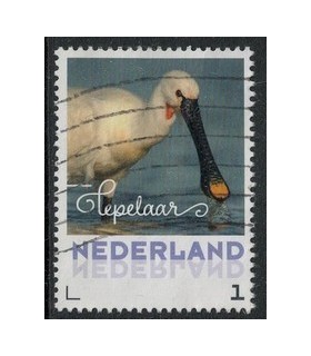 2017 Zomervogels Lepelaar (o)