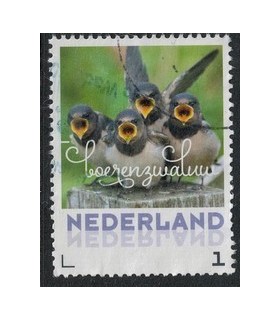 2017 Zomervogels Boerenzwaluw (o)