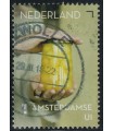 3548 Lekkernijen amsterdamse ui (o)