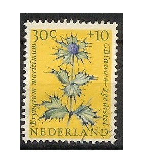 742 Zomerzegel (o)