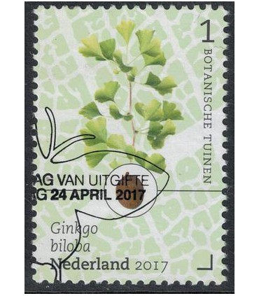 3530 Botanische Tuinen notenboom (o)