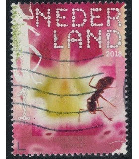 3661 Beleef de natuur Lasius Niger (o)