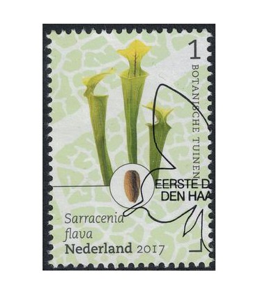 3528 Botanische Tuinen trompetbeker (o)