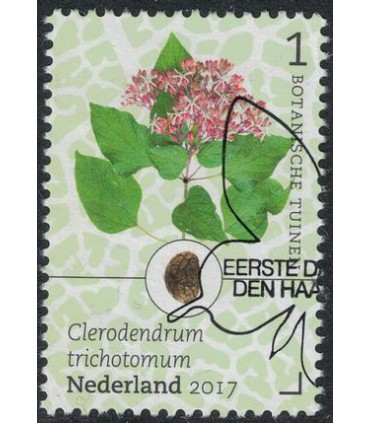 3533 Botanische Tuinen kansenboom (o)