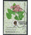 3533 Botanische Tuinen kansenboom (o)