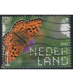 3929 Beleef de natuur Vlinder (o)