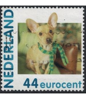 2682 Hc-14 Hallmark Hond met Sjaal (o)