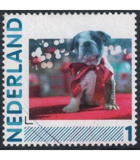 2791 Hb-08 Hond met strik (o)