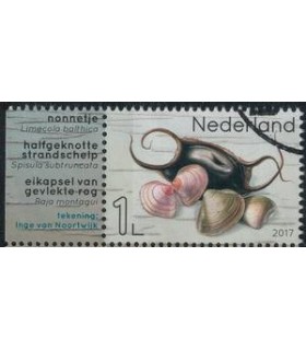 3554 Leven in de Noordzee Nonnetje (o) TAB2