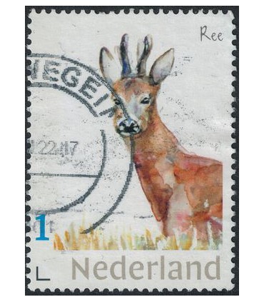 Dieren Ree (o)