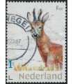 Dieren Ree (o)