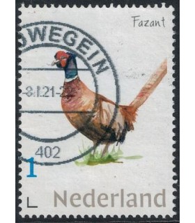 Dieren Fazant (o)