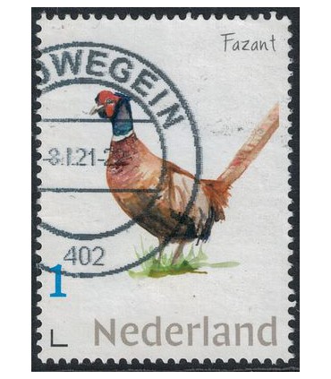 Dieren Fazant (o)