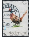 Dieren Fazant (o)