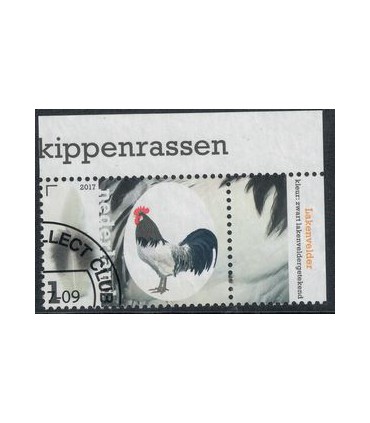 3489 Kippenrassen Lakenvelder (o) TAB