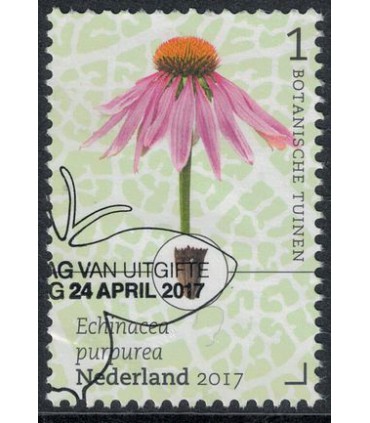 3525 Botanische Tuinen Zonnehoed (o)