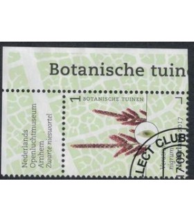 3529 Botanische Tuinen nieswortel (o) TAB