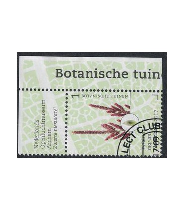 3529 Botanische Tuinen nieswortel (o) TAB