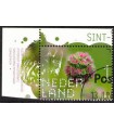 4029 Beleef de natuur Pimpernel (o) TAB