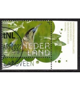 4011 Beleef de natuur Roerdomp (o) TAB