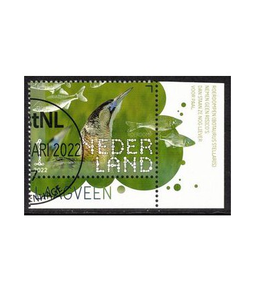 4011 Beleef de natuur Roerdomp (o) TAB