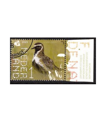 4089 Beleef de natuur Goud Plevier (o) TAB