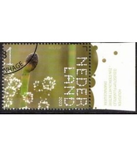 4093 Beleef de natuur Holpijp (o) TAB