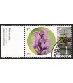 3293 Flora en Fauna Rietorchis (o) TAB