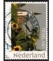 Texel (o)