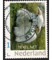 Texel (o)