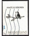 Kaate is geboren (o)