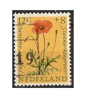 741 Zomerzegel (o)