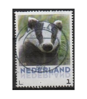 Zoogdieren Das (o)