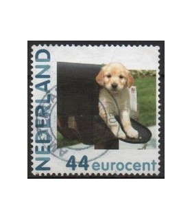 2682 Hb-14 Hallmark hond (o)