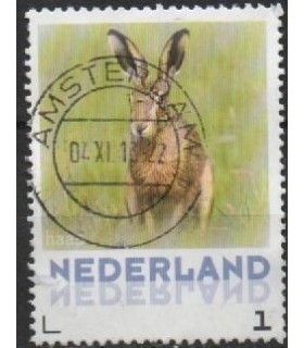 3013 Zoogdieren Haas (o)